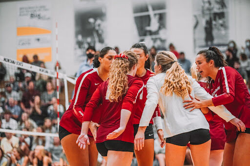 ARK VB Bobcat Classic